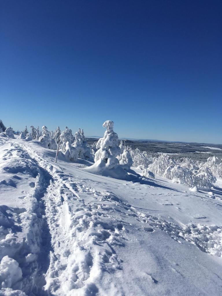 Apartment Fewos4seasons Oberwiesenthal